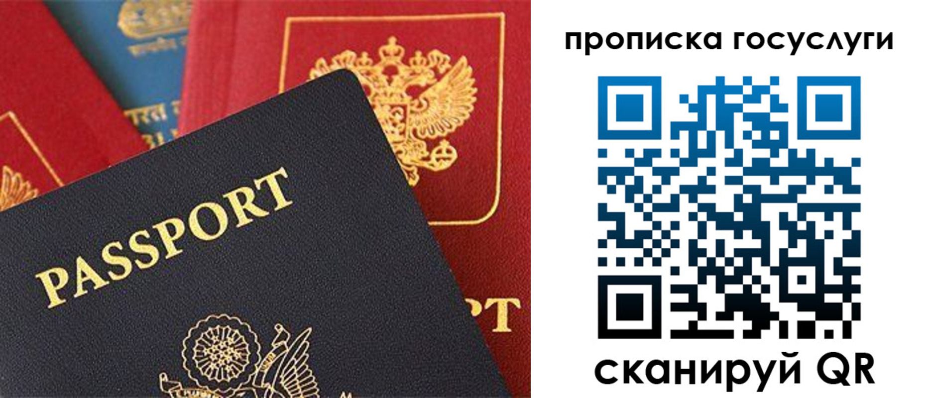 пропишу в квартире в Волгоградской области